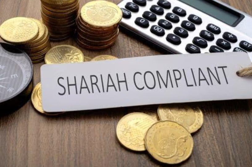 Reksa Dana Syariah vs. Konvensional: Pilihan Terbaik untuk Investasi yang Berkah – Bank Sinarmas